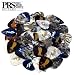 Paul Reed Smith PRS Premium Pearloid Picks - 48 Assorted Variety Pack, 351 Shape - Includes: 24 Medium Gauge, 12 Light Gauge, & 12 Heavy Gauge Guitar Picks - (Imprinted Graphics: Private Stock eagle, Ohm symbol, Common Tern seventh fret inlay, Coopers Hawk twelfth fret inlay, Modern Eagle)