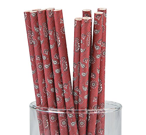 Bandana Print Paper Straws (24 Pack) 7 1/2