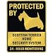 terrier11  - PROTECTED BY SCOTTISH TERRIER HOME SECURITY SYSTEM PARKING