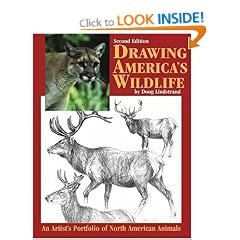 Drawing America's Wildlife: An Artist's Portfolio of North American Animals
