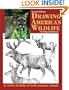 Drawing America's Wildlife: An Artist's Portfolio of North American Animals