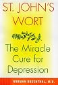 St. John's Wort: The Herbal Way to Feeling Good