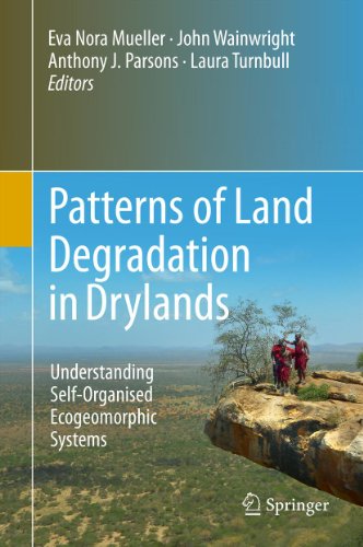 Patterns of Land Degradation in Drylands: Understanding Self-Organised Ecogeomorphic Systems