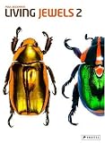 Living Jewels 2: The Magical Design of Beetles