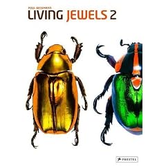 Living Jewels 2: The Magical Design of Beetles