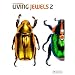 Living Jewels 2: The Magical Design of Beetles