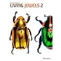 Living Jewels 2: The Magical Design of Beetles