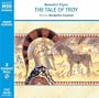 Tale of Troy 2D