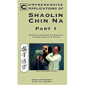 Comprehensive Applications of Shaolin Chin Na 1