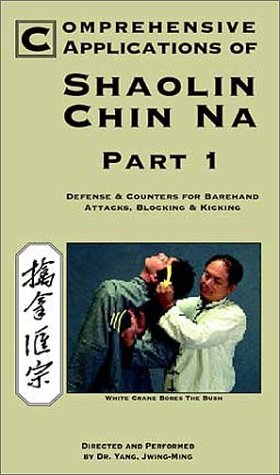 Cover image : Comprehensive Applications of Shaolin Chin Na 1
