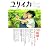 ユリイカ2004年12月号 特集=宮崎駿とスタジオジブリ