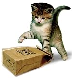 Thing in a Bag Cat Toy Happy Dog