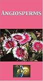 Review Educational Video Network, Inc.  / Angiosperms