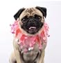 Small Valentine's Day Scrunchie Dog Collar