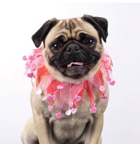 Dog Collar - Valentine's Day Heart Dog Scrunchy - Valentine Scrunchy is Red & Pink w/Hearts - Medium