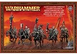 Chaos Marauder Horsemen 2008 - Warhammer