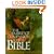 The Cambridge Companion to the Bible (Cambridge Companions to Religion)