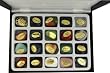 20 Piece Rock and Mineral Set in Durable Hard Case