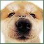 Artlist Collection the Dog 2005 Calendar Akita (Multilingual Edition)