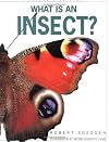What Is an Insect