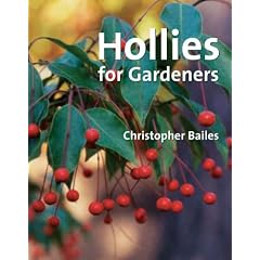 Hollies for Gardeners