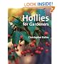 Hollies for Gardeners