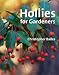 Book Hollies for Gardeners
