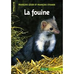 La fouine