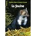 La fouine