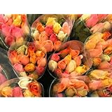 100 Red Long Stem Roses - Fresh Roses Cut to Order - Direct From Our Farm in Bulk