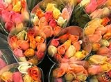 100 Red Long Stem Roses - Fresh Roses Cut to Order - Direct From Our Farm in Bulk