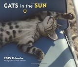 Cats in the Sun image