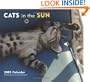 Cats in the Sun