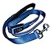 GoDoggie-GLOW Rechargeable USB Dog Leash, Blue