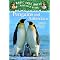 The Complete Magic Tree House Companion Research Guide Series in Order