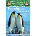 Penguins and Antarctica (Magic Tree House Rsrch Gdes(R))