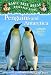 Books : Penguins and Antarctica (Magic Tree House Rsrch Gdes(R))