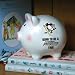 Born to Be Pittsburgh Penguins Fan Piggy Bank