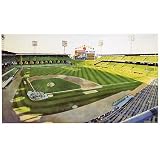 Good Sports Art Chicago White Sox Comiskey Park Revisited Lithograph