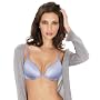 Lily of France Value in Style Women's Second Glance Satin Push Up Plunge Bra #7511740