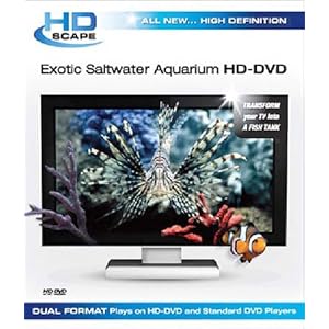 Exotic Saltwater Aquarium