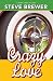 Crazy Love (Bubba Mabry Mysteries)