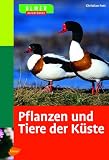 Pflanzen und Tiere der Kueste