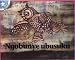 Book Ngobunye Ubusuku (Children's Stories)