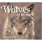 Is there any truth to the werewolf legend?