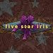 Five Star Iris