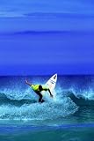 One Day Surfing Course