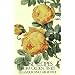 Rose Recipes from Olden Times