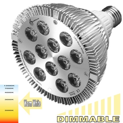 ecoBrites Dimmable 12x2w Hi-Performance LED lights (replacing 180w incandescent/halogen bulbs). 