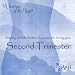 Imagery and Meditations for support during your Second Trimester (Enhance Pregnancy)